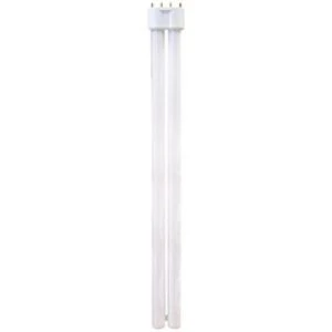 Marine Blue 11w PL Lamp