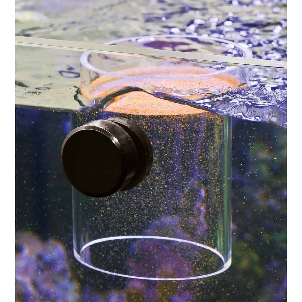 Food Pipe - Image 2