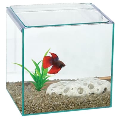 Betta Cube Square Glass Tank 16x16x16cm