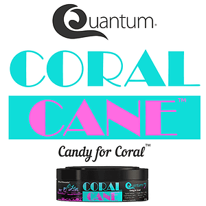 Coral Cane – 66g