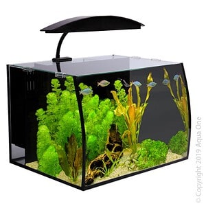 Arc 30 Glass Aquarium 30L 40L X 32.5D X 28cm H