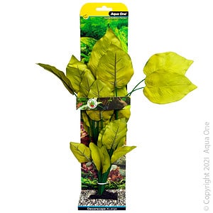 Silk Plant Sword Radicans XL