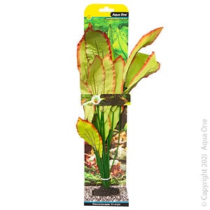 Silk Plant Amazon Red Green XL