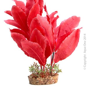 Silk Plant Red Sword W Gravel Base  L
