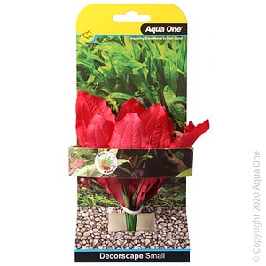 Silk Plant Amazon Red Sm