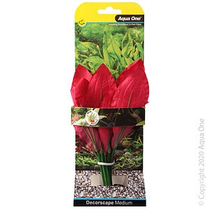 Silk Plant Amazon Red Md