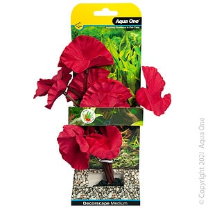 Silk Plant Tiger Lotus Red Md