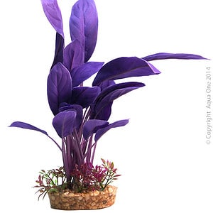 Silk Plant Purple Echinodorus W Gravel Base L