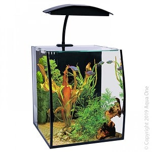 Arc 16 Glass Aquarium 16L 25L X 28D X 30cm H