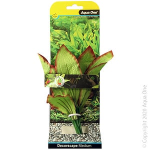 Silk Plant Amazon Red Green Md