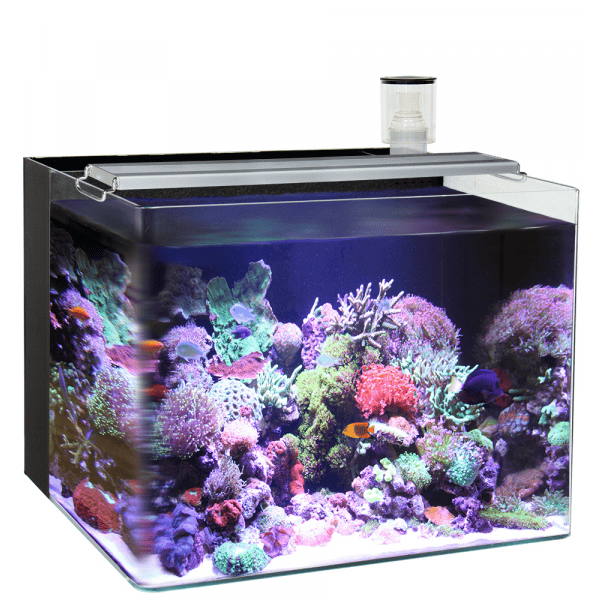 Ocean Free Nano Complete Marine Aquarium Kit 5 96ltr