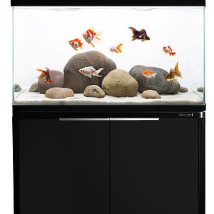 LifeStyle 76 Complete Glass Aquarium