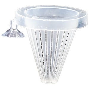 Worm Feeder Cone