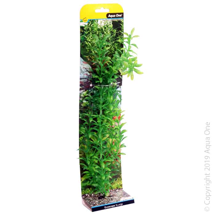 Ecoscape Xlarge Ludwigia Green