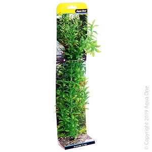 Ecoscape Xlarge Ludwigia Green