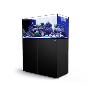 Red Sea Peninsula P500