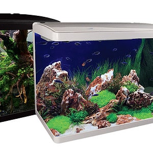 LifeStyle 76 Complete Glass Aquarium