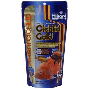 Sinking Cichlid Gold