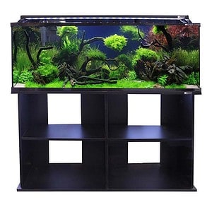 Horizon 182 Glass Starter Kit Stand 182L