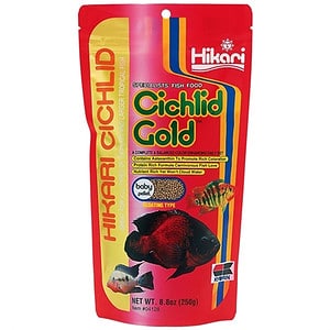 Cichlid Gold