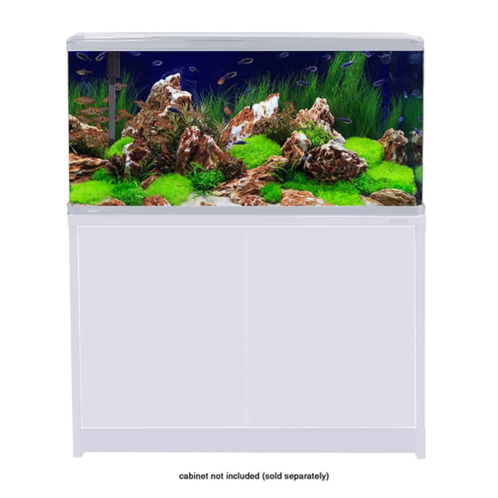 LifeStyle 190 Complete Glass Aquarium
