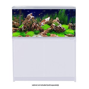 LifeStyle 190 Complete Glass Aquarium