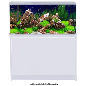 LifeStyle 190 Complete Glass Aquarium