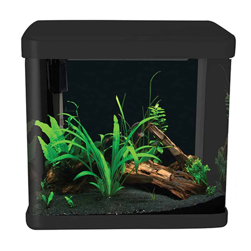 LifeStyle 21 Complete Glass Aquarium - Image 2