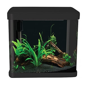 LifeStyle 21 Complete Glass Aquarium