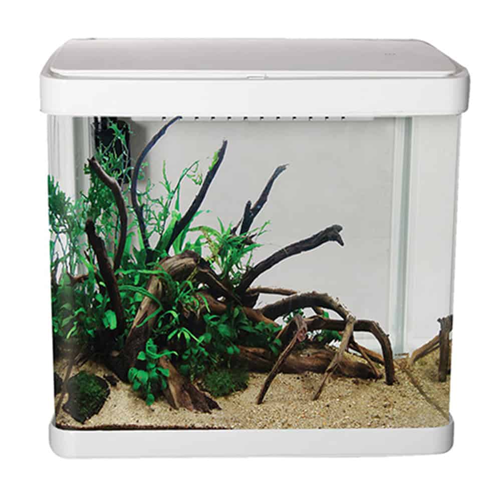LifeStyle 21 Complete Glass Aquarium
