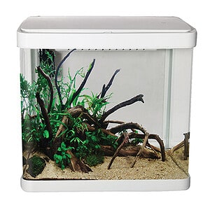 LifeStyle 21 Complete Glass Aquarium