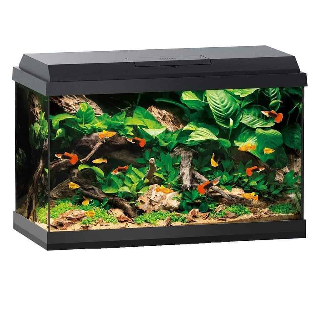 Juwel Primo 70 Aquarium