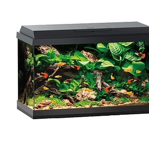 Juwel Primo 70 Aquarium