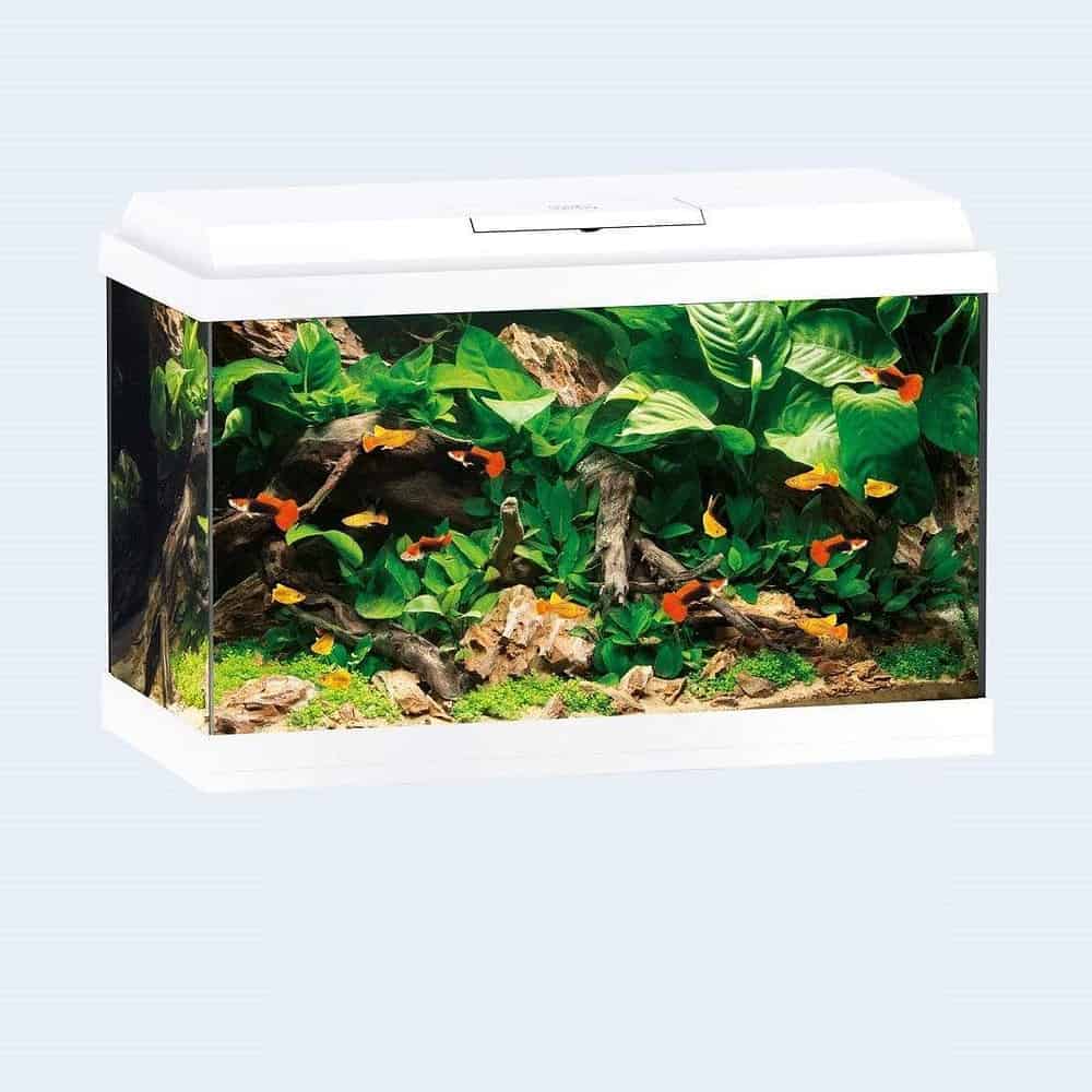Juwel Primo 70 Aquarium - Image 2