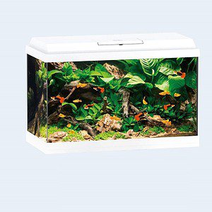 Juwel Primo 70 Aquarium