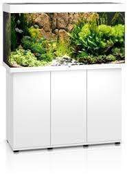 Juwel Rio 350 LED Aquarium