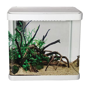 LifeStyle 52 Complete Glass Aquarium