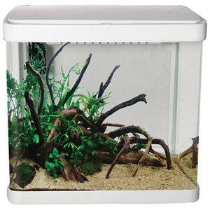 LifeStyle 52 Complete Glass Aquarium
