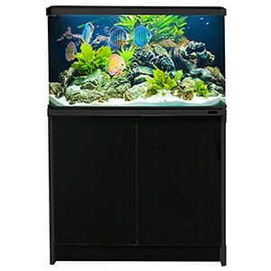 LifeStyle 127 Complete Glass Aquarium