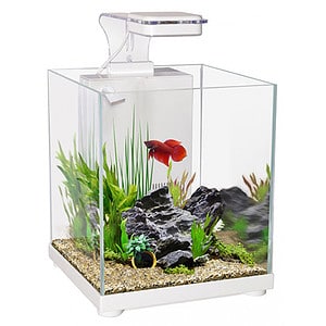 Aqua One Betta Sanctuary