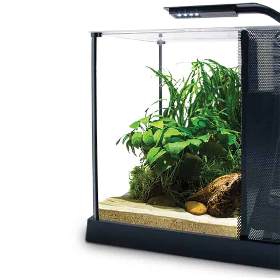 Fluval Betta Premium Aquarium Kit 10l - Image 2