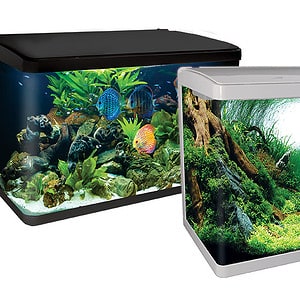 LifeStyle 127 Complete Glass Aquarium