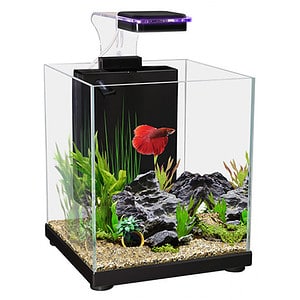 Aqua One Betta Sanctuary