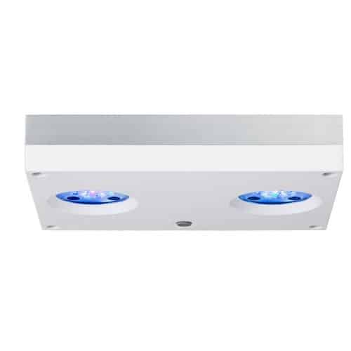 Hydra 32 HD White