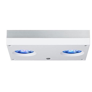 Hydra 32 HD White