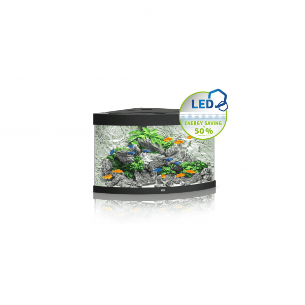 Juwel Trigon 190 LED Aquarium Black - Image 2