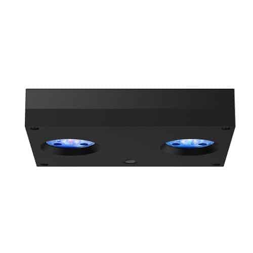 Hydra 32 HD Black