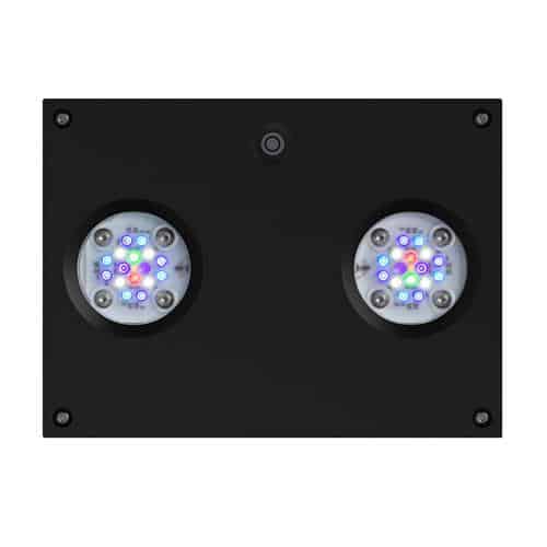 Hydra 32 HD Black - Image 2