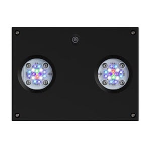 Hydra 32 HD Black