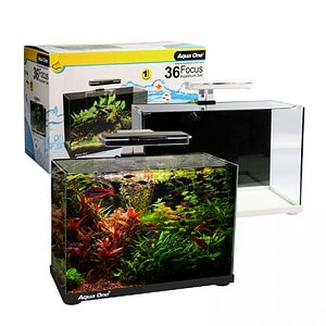 Aqua One Focus Aquarium 36 Litres